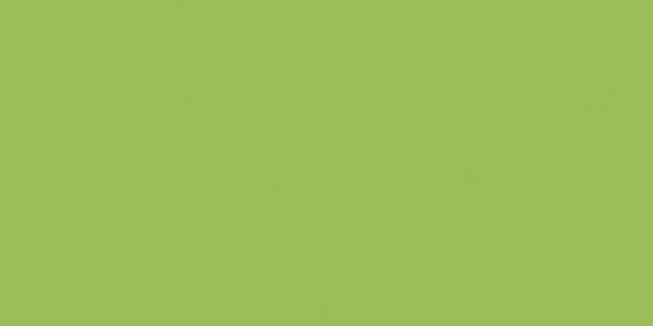 Mosa Colors 17900 Wandtegel 150X300 Macaw Green 7mm Glans