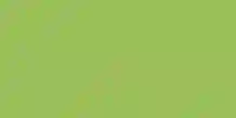 Mosa Colors 17900 Wandtegel 150X300 Macaw Green 7mm Glans
