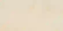 Mosa Core Collection Terra Maestricht 211 V 30x60 Avalon Beige 12mm Mat Ret R10